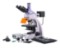 Fluorescenční mikroskop MAGUS Lum D400L 5