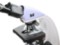 Biologický mikroskop MAGUS Bio 230BL 5