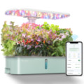 LetPot Air 10