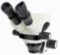 Bresser Science ETD-101 7-45x - stereoskopický mikroskop 1